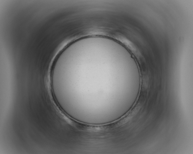 X0000111941286200908101154