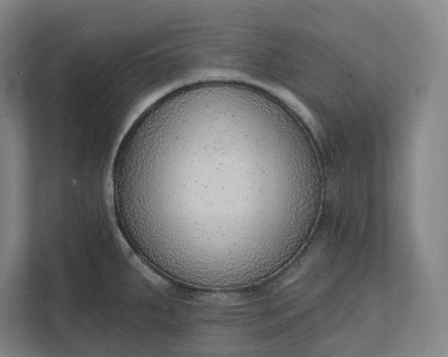 X0000111941287200908101154