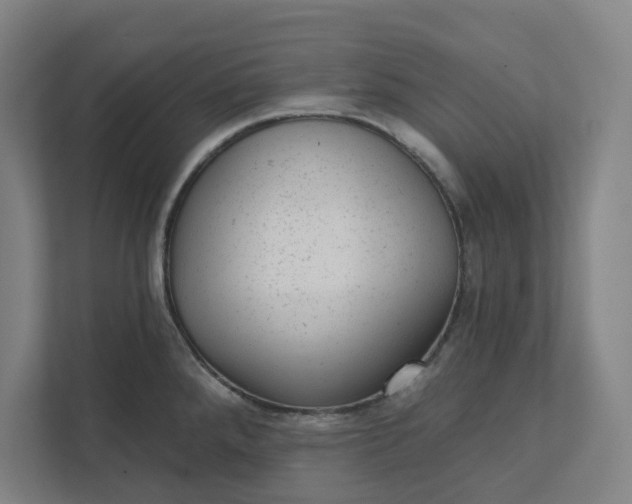 X0000111941288200908101154