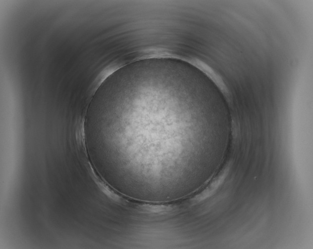 X0000111941289200908101154