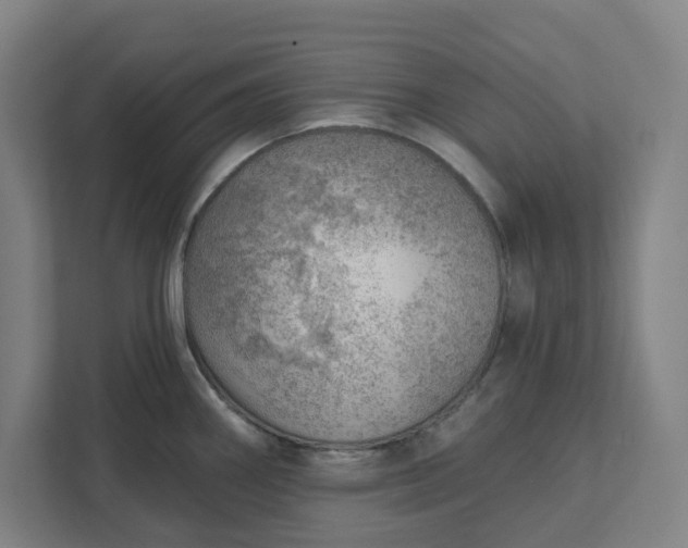 X0000111941290200908101154