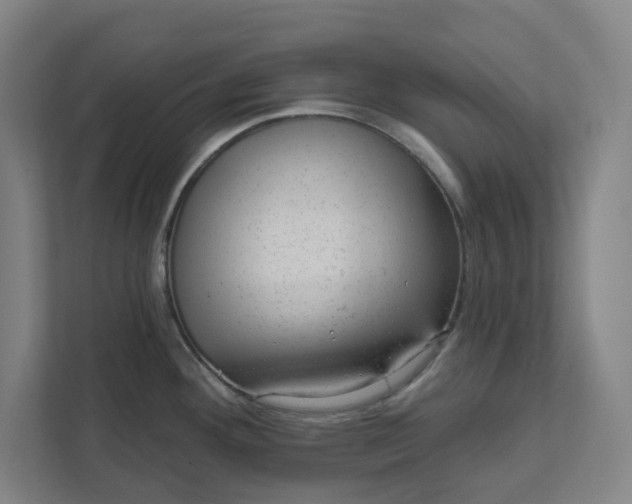 X0000111941292200908101154