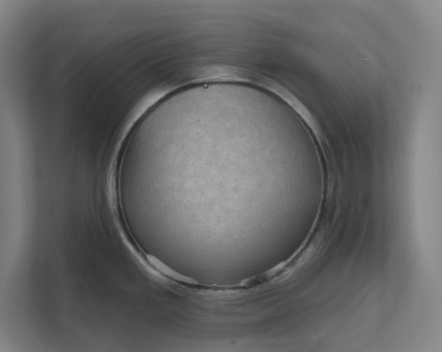 X0000111941293200908101154