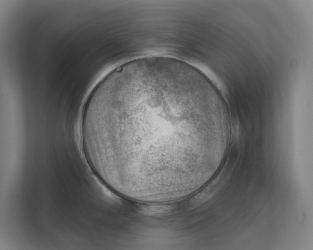 X0000111941294200908101154