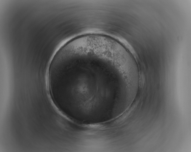 X0000111941295200908101154