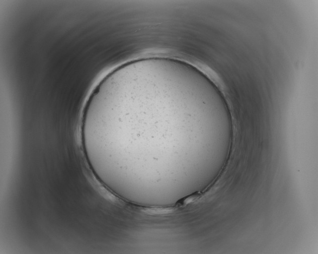 X0000111941296200908101154