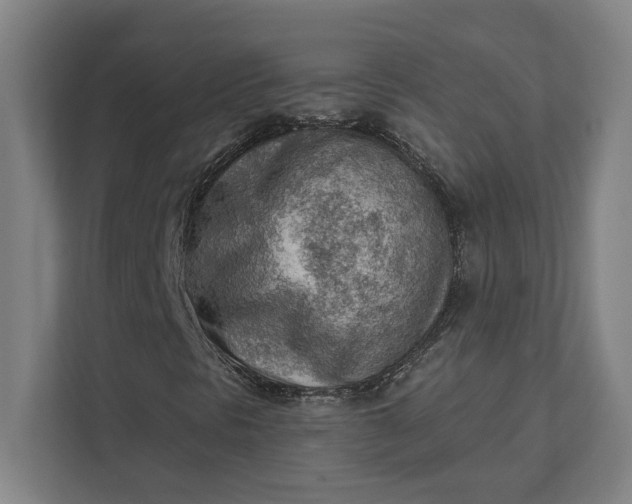 X0000111941297200908101153