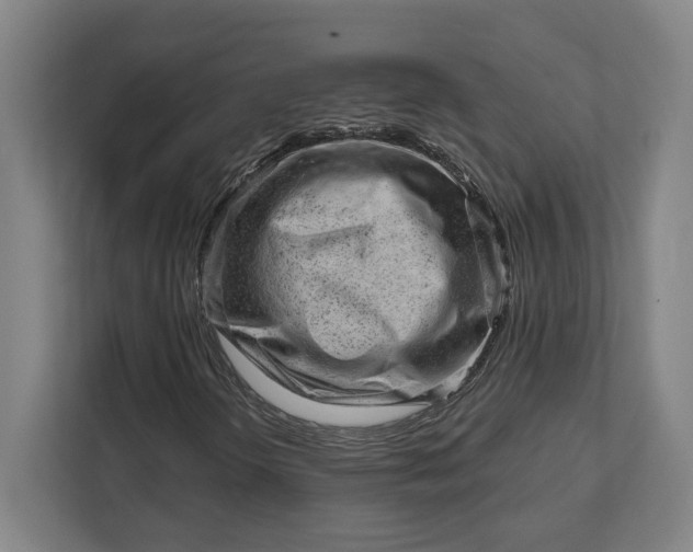 X0000111941298200908101153