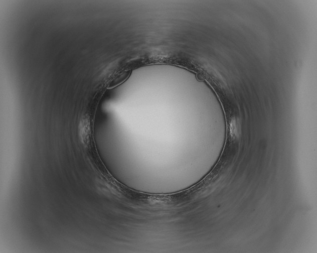 X0000111941299200908101154