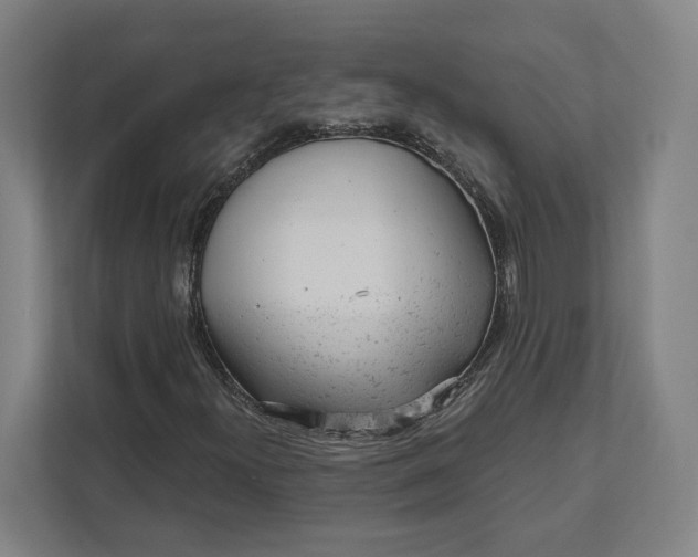 X0000111941300200908101154