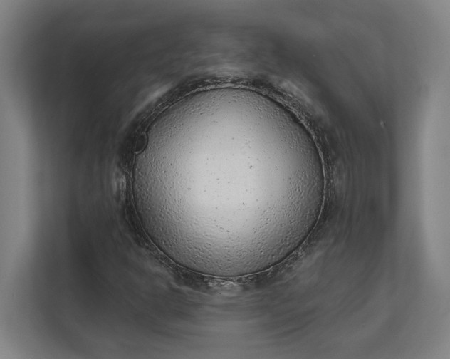 X0000111941302200908101154