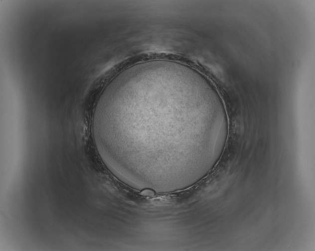 X0000111941303200908101154