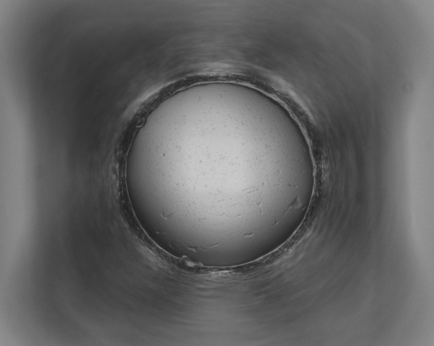 X0000111941304200908101154