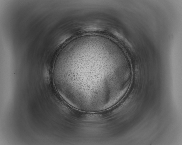 X0000111941305200908101154