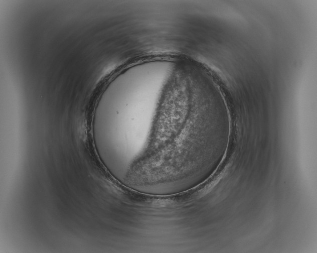 X0000111941306200908101154