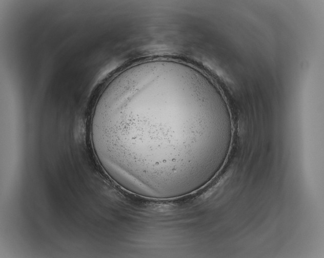 X0000111941309200908101154