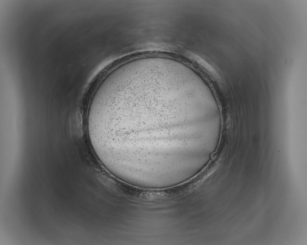 X0000111941310200908101154