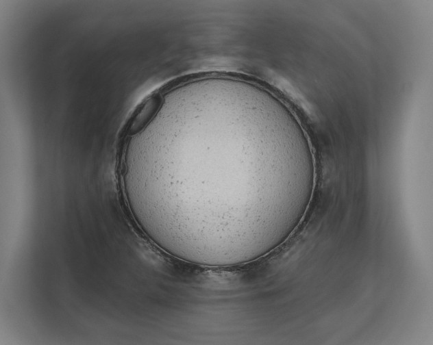 X0000111941312200908101154