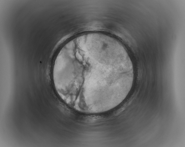 X0000111941314200908101154