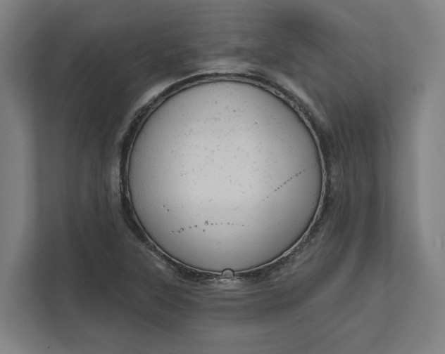 X0000111941315200908101154