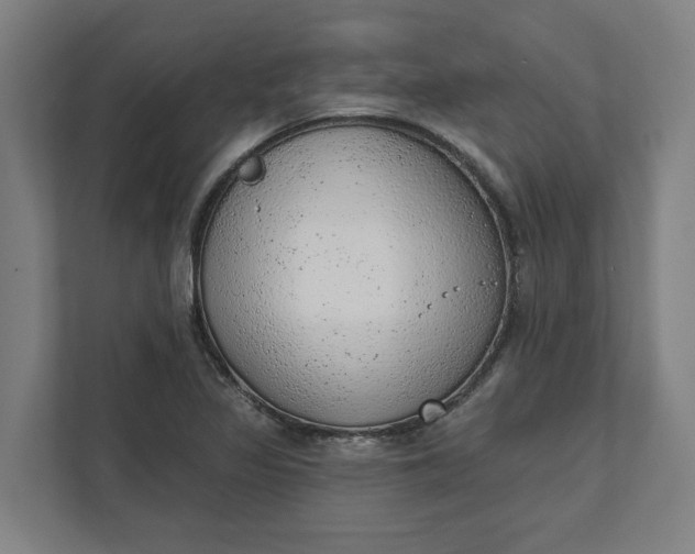 X0000111941317200908101154