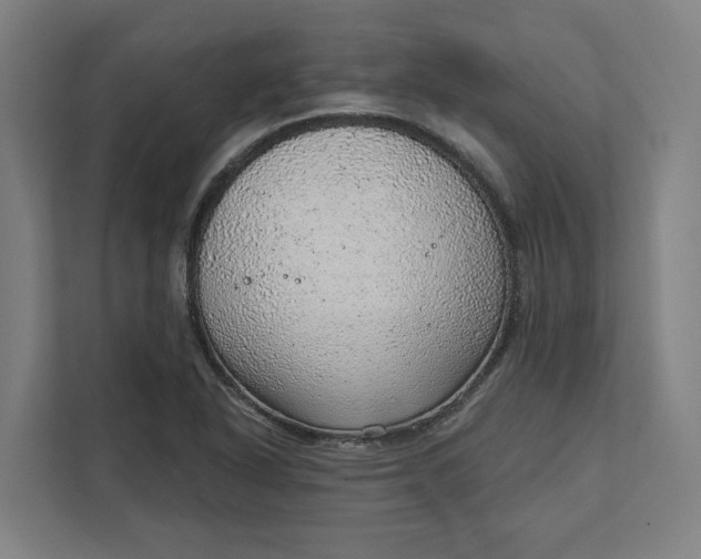 X0000111941318200908101154