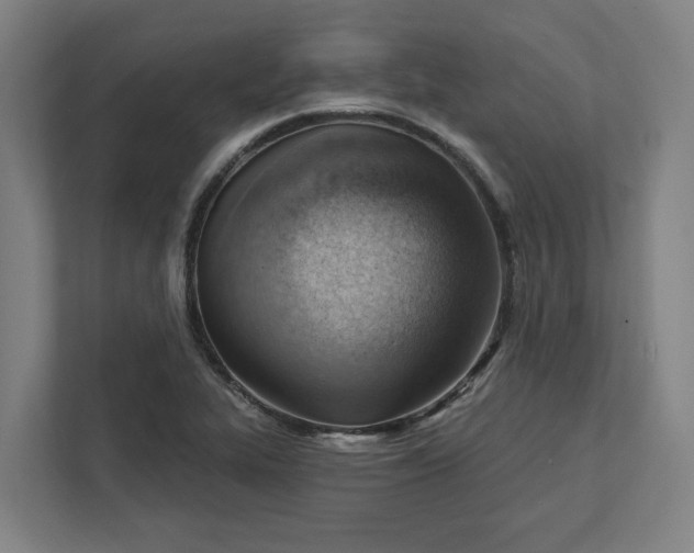 X0000111941319200908101154