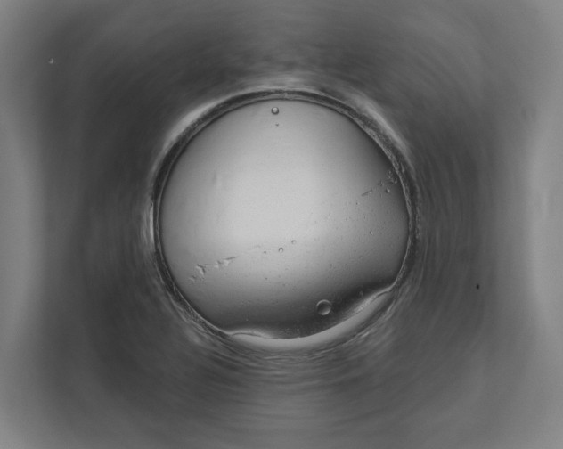 X0000111941320200908101154