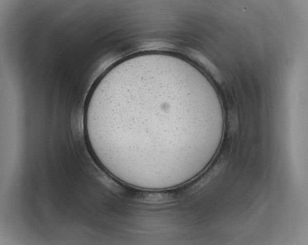 X0000111941322200908101154