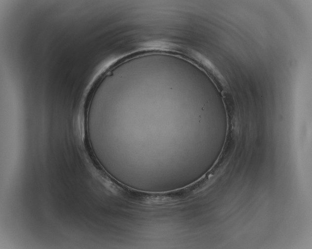 X0000111941323200908101154