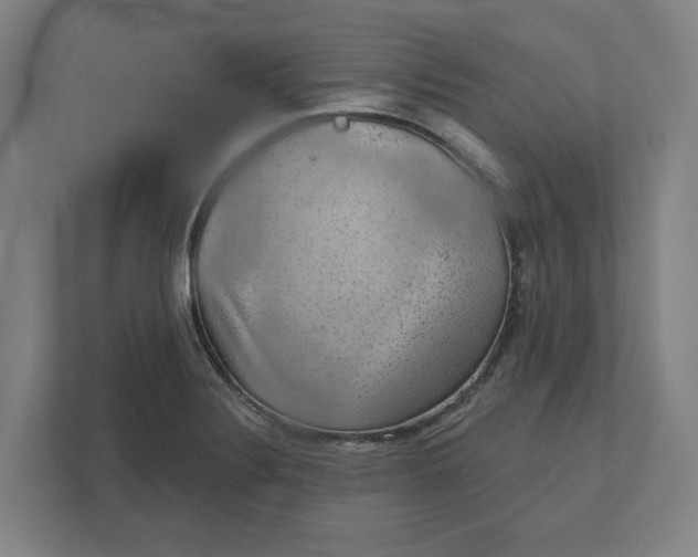 X0000111941324200908101154