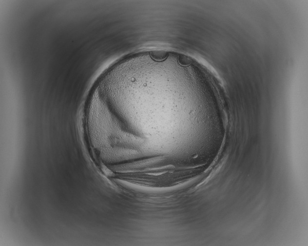 X0000111941325200908101154