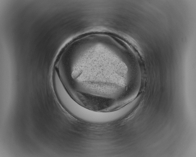 X0000111941326200908101154