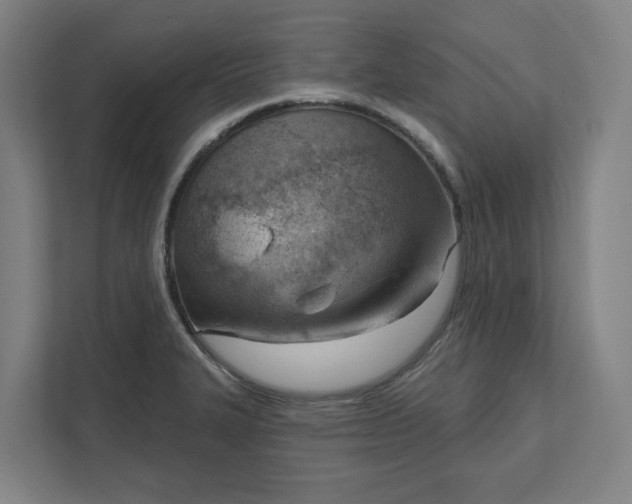 X0000111941327200908101154