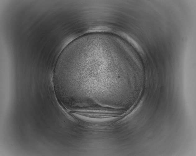 X0000111941329200908101154