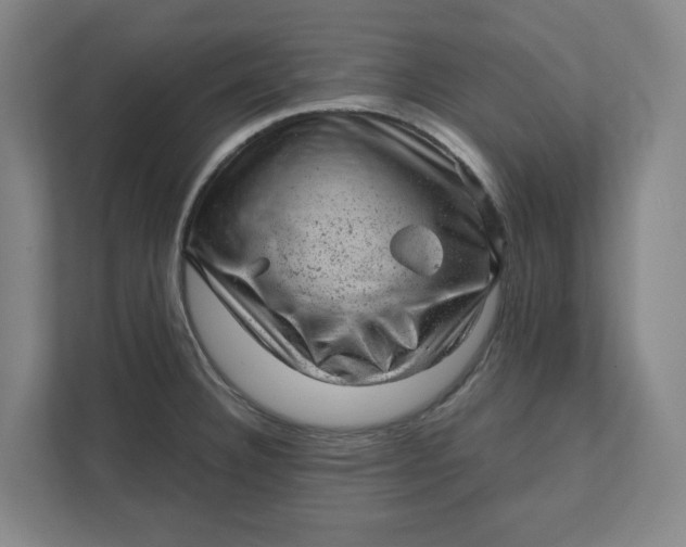 X0000111941332200908101154