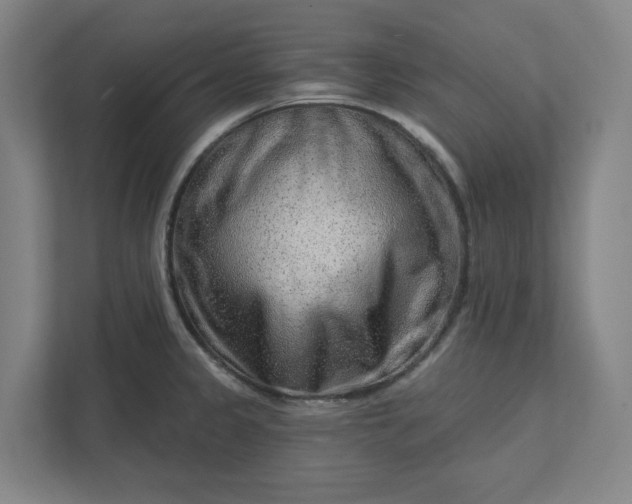 X0000111941333200908101154