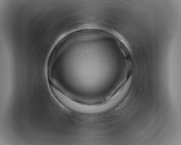 X0000111941334200908101154