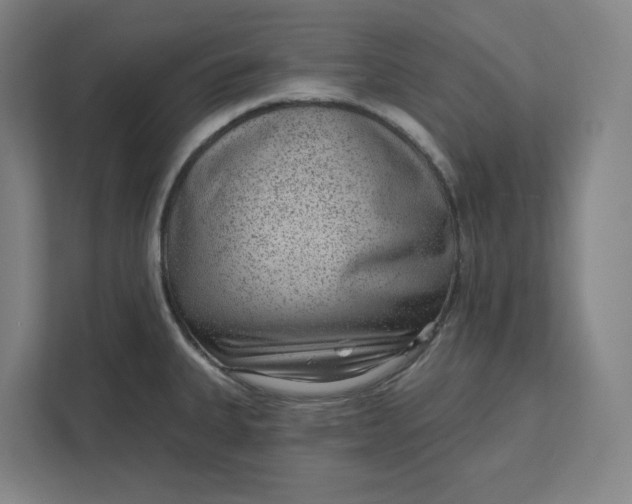 X0000111941335200908101154