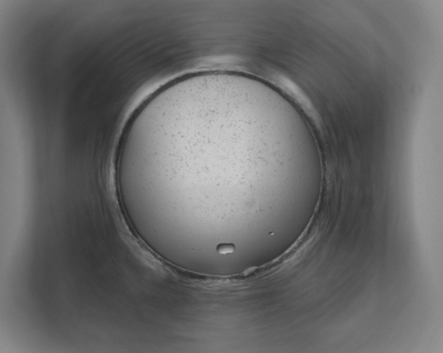 X0000111941336200908101154