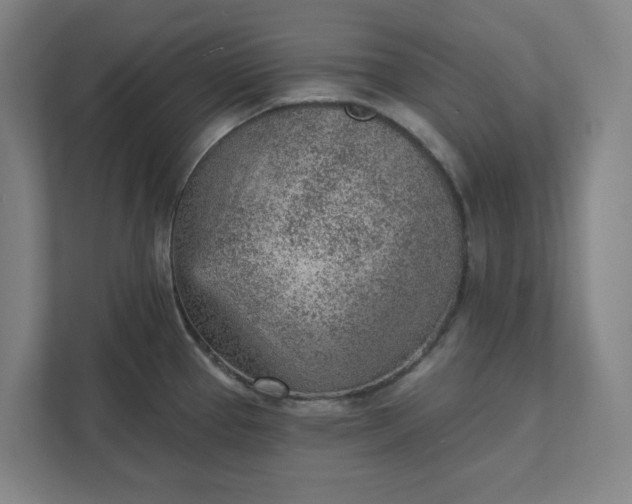 X0000111941337200908101154