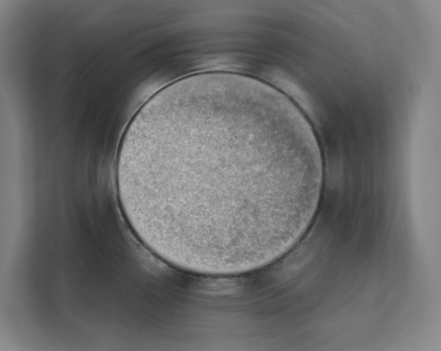 X0000111941338200908101154