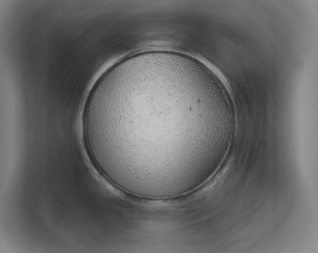 X0000111941341200908101154