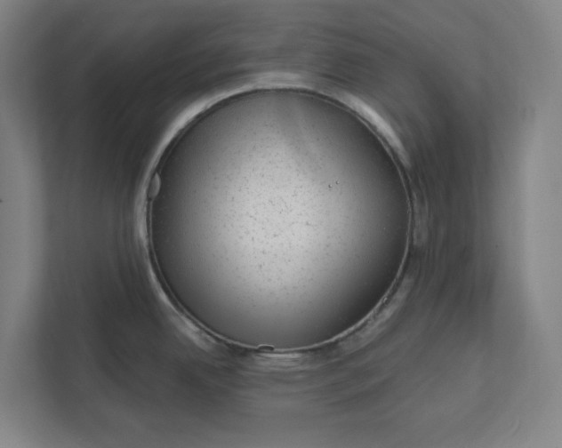 X0000111941342200908101154