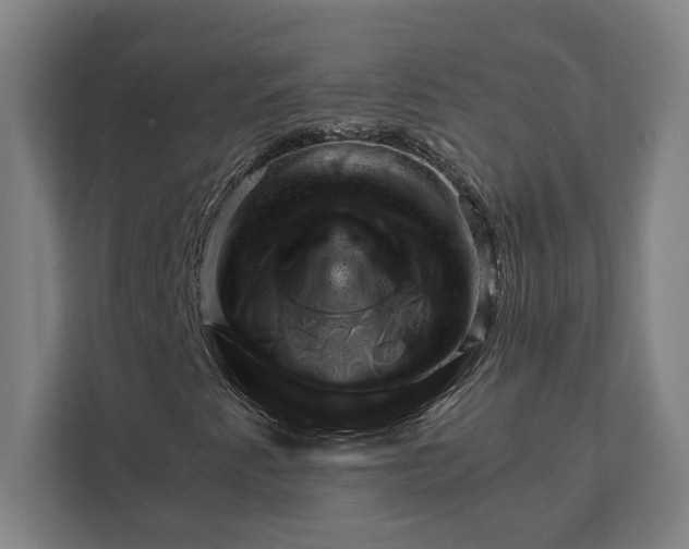 X0000111941345200908101153