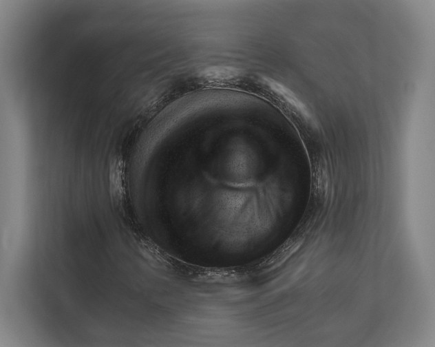 X0000111941346200908101153