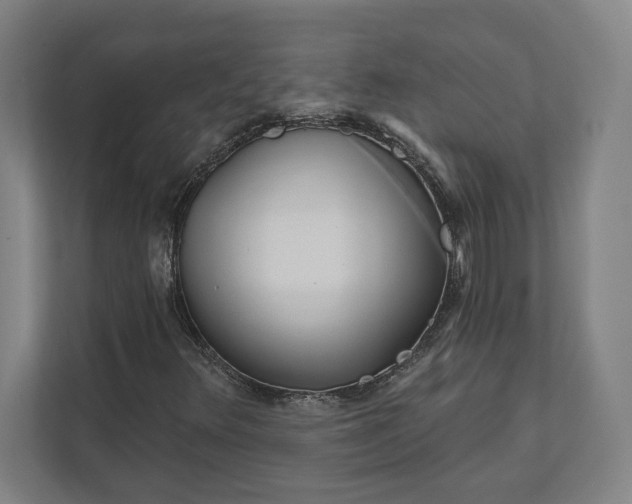 X0000111941348200908101153