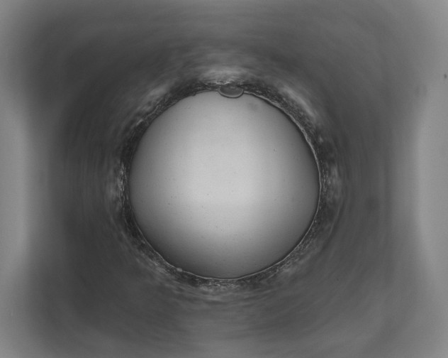 X0000111941349200908101153