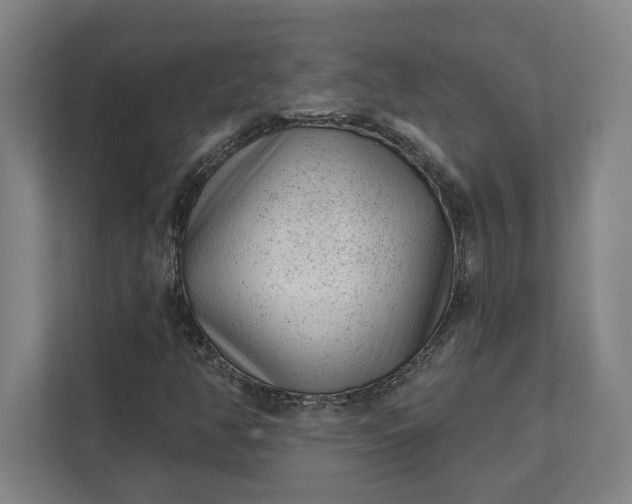 X0000111941350200908101153