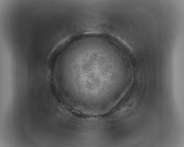 X0000111941351200908101153